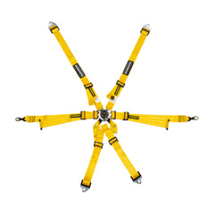 Schroth Porsche GT3 Profi 2X2 Harness