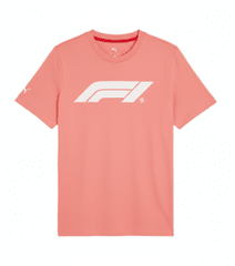 Formula 1 Tech Collection F1 Men's Essential Logo T-Shirt - Black/White/Red/Pink