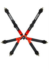 Lifeline Stowe 6pt FIA Formula Car Harness
