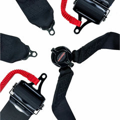 NecksGen Racing Harness