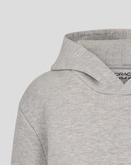 Red Bull Racing F1 Kid's Max Verstappen Sleeve Graphic Pullover Hoodie - Youth Grey