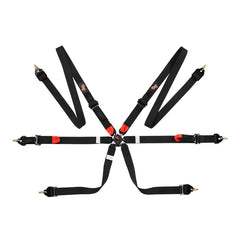 G-Force 7624 Endurance 2 FIA Harness