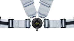 Schroth Profi II ASM