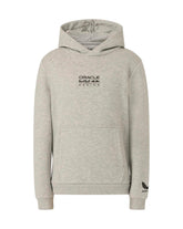 Red Bull Racing F1 Kid's Graphic Bull Hoodie - Youth Grey Marl/Chili Pepper