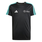Mercedes - AMG Petronas Formula One Kids DNA T-Shirt - Black
