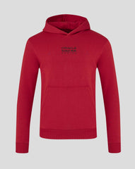 Red Bull Racing F1 Graphic Bull Hoodie - Grey Marl/Chilli Pepper