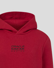 Red Bull Racing F1 Kid's Graphic Bull Hoodie - Youth Grey Marl/Chili Pepper