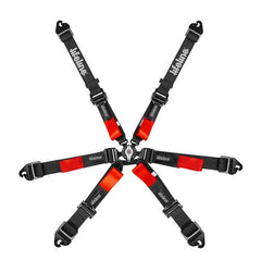 Lifeline Woodcote 6pt Harness