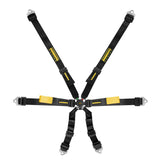 Schroth Enduro 2x2 Harness