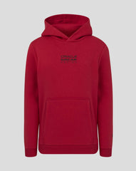 Red Bull Racing F1 Kid's Graphic Bull Hoodie - Youth Grey Marl/Chili Pepper