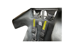 Schroth SFI 16.6 Profi II Harness