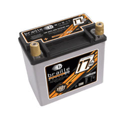 Braille Battery AGM B2317