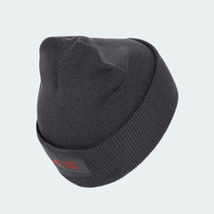 Audi F1 2026 Children's Team Beanie - Youth Gray