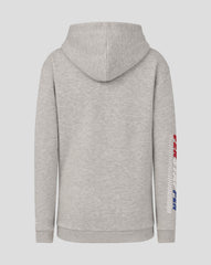 Red Bull Racing F1 Kid's Max Verstappen Sleeve Graphic Pullover Hoodie - Youth Grey