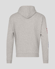 Red Bull Racing F1 Max Verstappen Sleeve Graphic Pullover Hoodie - Grey