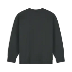 Formula 1 Tech RDW Graphic Crew Sweatshirt - Pirate Black
