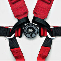 Schroth Formula 2x2 Harness