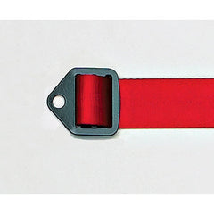 Schroth Formula 2x2 Harness